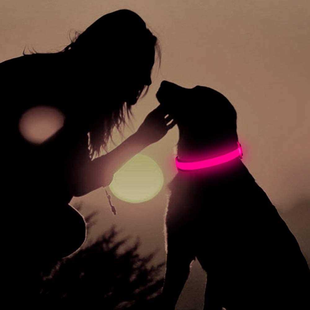 LED USB Rechargeable Dog Collar D546