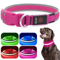 LED USB Rechargeable Dog Collar D546