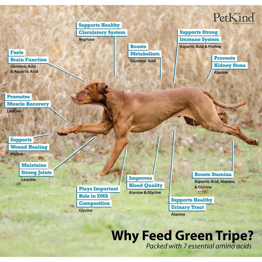 Beef Tripe Formula Dry Dog Food O5845