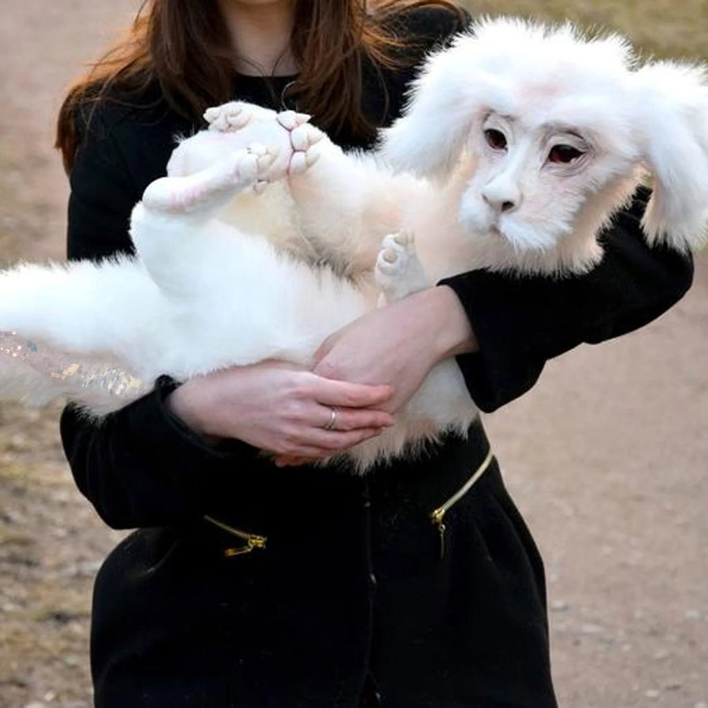 Falkor Plush Doll Toys C128255