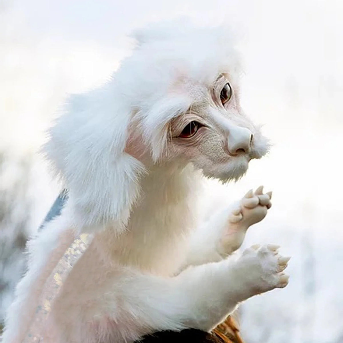 Falkor Plush Doll Toys C128255