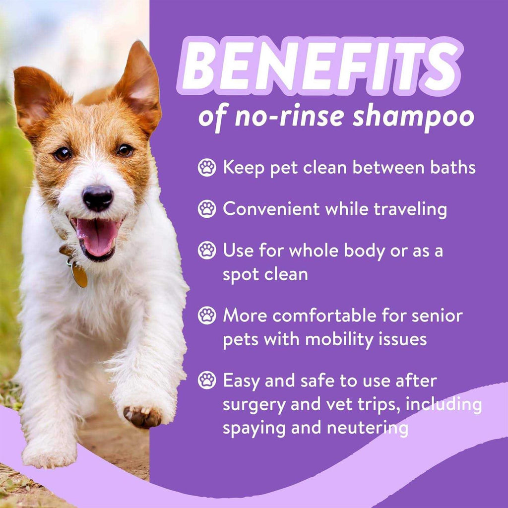 Natural Dry Shampoo for Dogs or Cats A448
